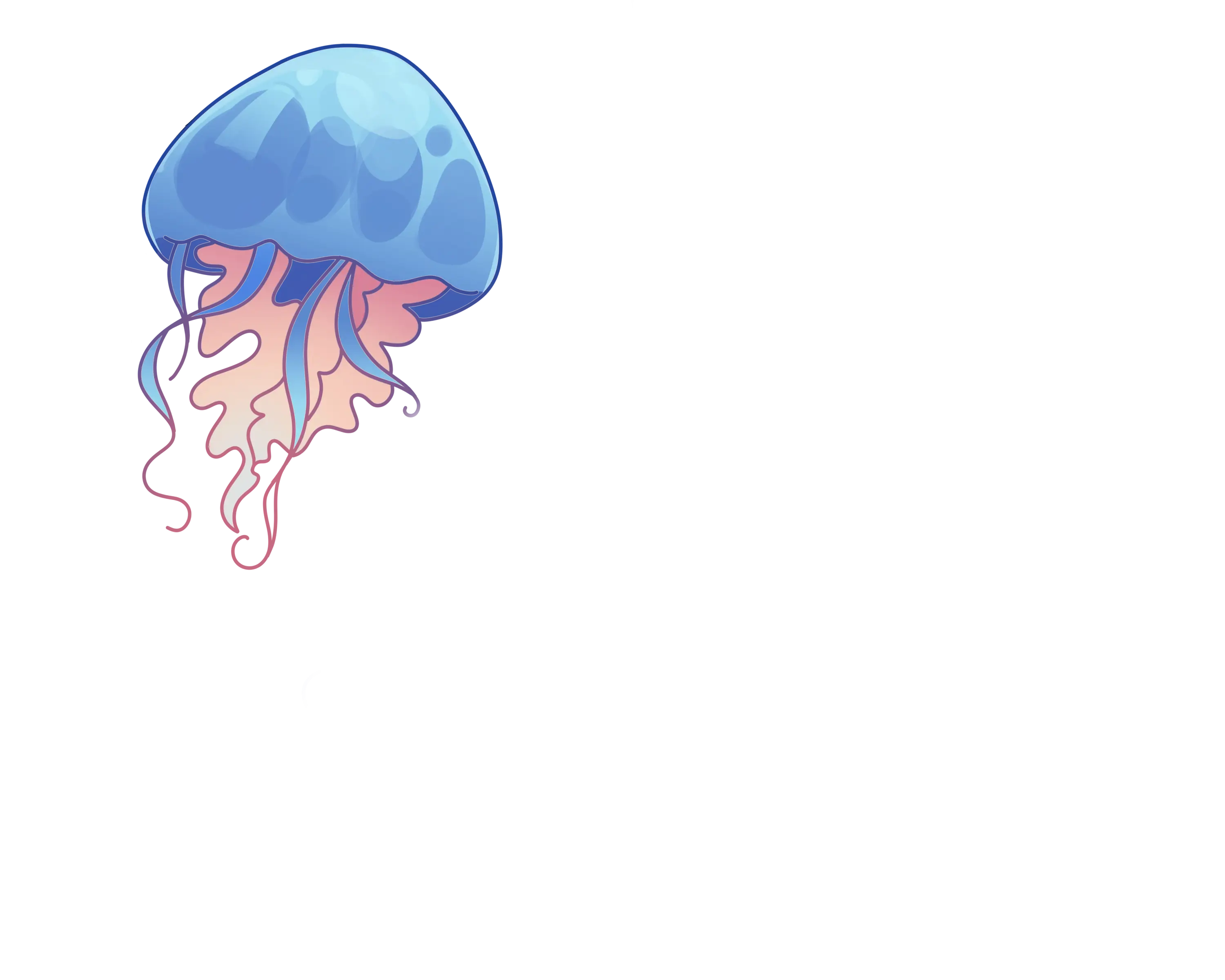 jellyfish-tl.webp